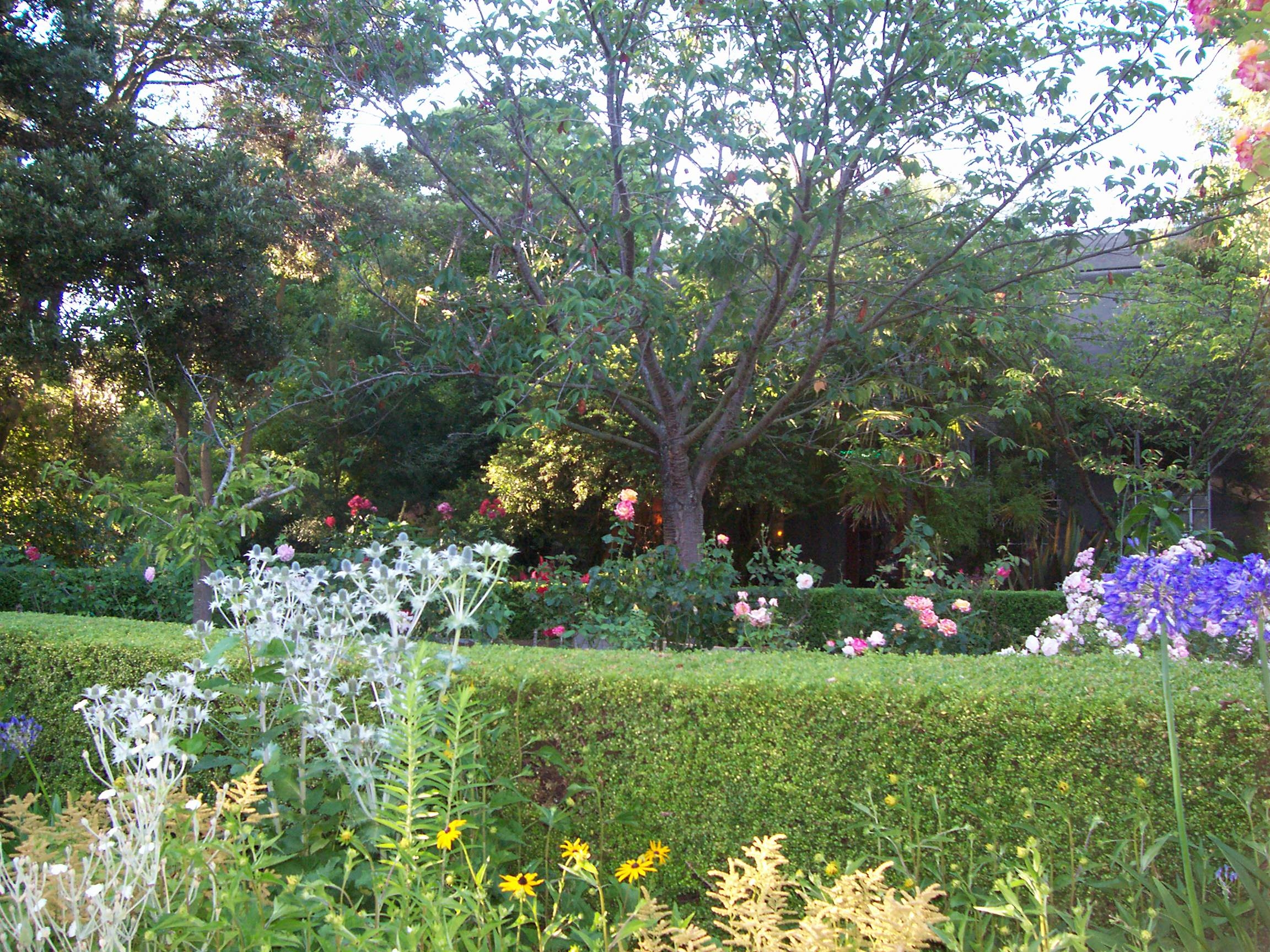 garden